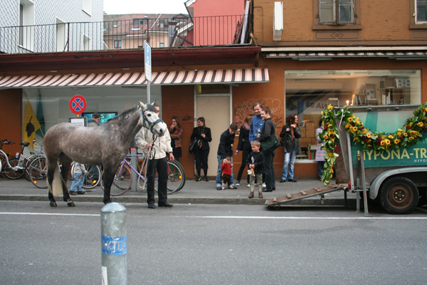 eggerschlatter, Social Disorder and a World Turned Upside Down, 2010